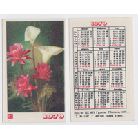Календарь Цветы 1979