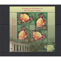 Флора цветы Беларусь 2014 Центральный ботанический сад "Роза"Глория Дей"