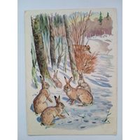 1959. Фролов. Зайцы в лесу
