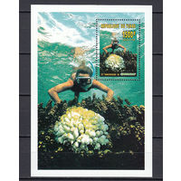 Морская фауна. Чад. 1996. 1 блок. Michel N бл260 (9,5 е).