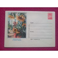 ХМК Казахская ССР В новом совхозе. 1957 г. Чистый.