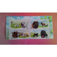 Россия, 2015. Марки серии "Служебные породы собак". Верхняя часть листа.