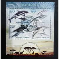 ФАУНА РЫБЫ МОРСКИЕ ОБИТАТЕЛИ    БЛОК  сто