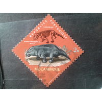 Мозамбик, колония Португалии, 1971. Палеонтология