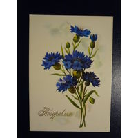 Поздравляю!  Васильки.  1974 г.  подписанная.