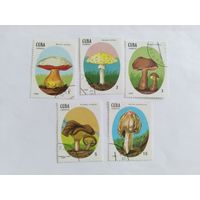 Куба  1988 5 м  грибы