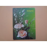 8 Марта.  Розы, котики.  1990 г.
