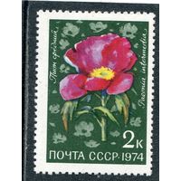 СССР 1974. Цветы. Пион