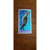 Болгария. Дятел. 1978г. гашеная