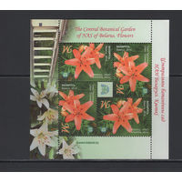 Флора цветы Беларусь 2014 Центральный ботанический сад "Лилия"Зоренька"