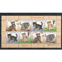 Беларусь-2017,(Мих.1169-1172)  , Фауна, Котята