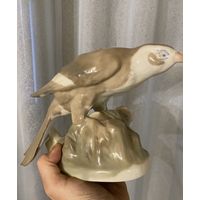 Ястреб (Городница) 1940-50 годы