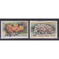 Флора Кораллы Красного моря  Израиль 1986 год лот 15 Серия без 1 марки  Менее 29 % От каталога по курсу 3 р