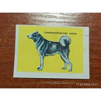 Спичечная этикетка Западносибирская лайка