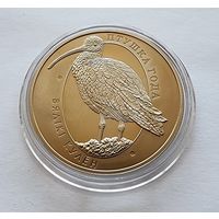 Беларусь 1 рубль, 2011 Большой кроншнеп