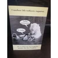 Открытка Белый медведь