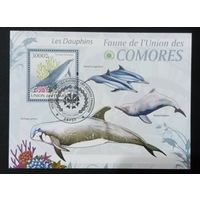 ФАУНА РЫБЫ МОРСКИЕ ОБИТАТЕЛИ    БЛОК  сто