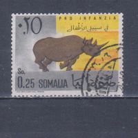 [2434] Сомали 1960. Фауна.Дикие животные.Носорог. Гашеная марка.