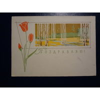 Поздравляю!  Березки.  1963 г.  подписанная.