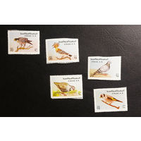 Сирия 1978 г. Птицы. Фауна, полная серия из 5 марок. Чистая #0238-Ф1P46