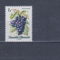 [2209] Австрия 1966. Флора.Плоды.Ягоды.Фрукты.Виноград на почтовых марках. MNH