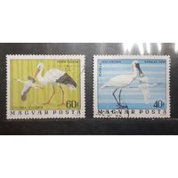 Венгрия. 1976 год. Фауна. Птицы (365)