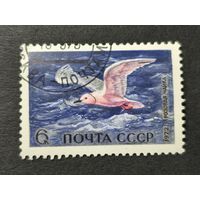 1972 СССР. Морские птицы. Розовая чайка