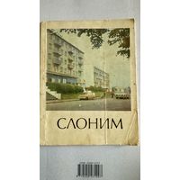 Книга- Слоним