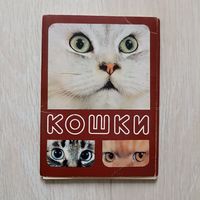Кошки  Комплект открыток 18 шт.