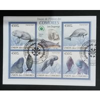 ФАУНА РЫБЫ МОРСКИЕ ОБИТАТЕЛИ    БЛОК  сто