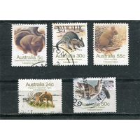 Австралия. Охраняемые виды фауны