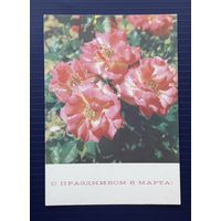 СССР 1969 ДМПК/Открытка фото Кропивницкого. С праздником 8 марта! Чистая.(1)