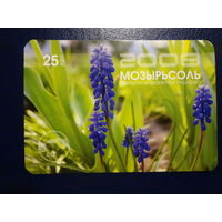 Календарик 2008 г.  Мозырьсоль.  25 лет.