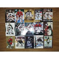 Хоккейные карточки.НХЛ. ВРАТАРИ.Minnesota Wild.22 карты