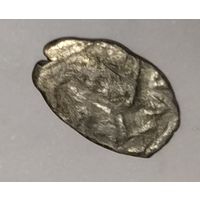 Копейка Петра. Чешуйка