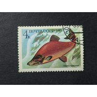1983 СССР. Рыбы. Нерка красная
