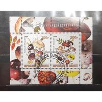 Джибути. 2009 год. Флора. Грибы. Блок (998)