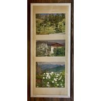 Бржозовский Г.Ф "Гурзуф", этюды. 1951г. Картон, масло. Размер 44х105 см.