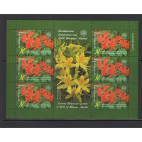 Флора кусты Беларусь 2015 Малый лист "Центральный ботанический сад."Рододендрон Академик Смольский"