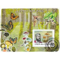 Коморы /микология/ 2008г