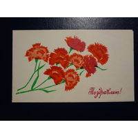 Поздравляю!  Гвоздики. 1973 г. Пинская типогр.  подписанная. двойная.