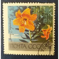 СССР 1969 ботанический сад АН , цветы, 1 из 5, клей.