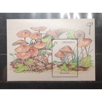 Гренада. 1994 год. Флора. Грибы. Блок (999)