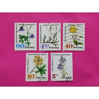Польша. Цветы. Флора. ( 5 марок ) 11-4.