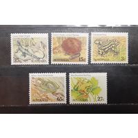 Австралия. Фауна. Пресмыкающиеся, земноводные (1087)