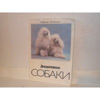 Никулина Т.Н., Чеснокова Ж.А. Декоративные собаки.