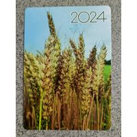 Календарик карманный 2024 колосья пшеницы флора