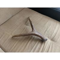 Рога.С1рубля.