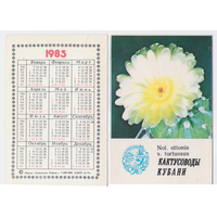 Календарь Кактусоводы Кубани 1985