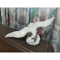 Альбатрос. Заводской брак.